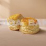 Biscuit