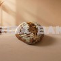 Trophy Longan Bread