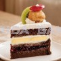 Chocolate Mushrooms Cake＊Store Pickup Only＊