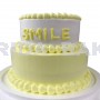 2 TIER DECORATED CAKE D  