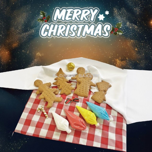 DIY Ginger Bread Cookie Kit